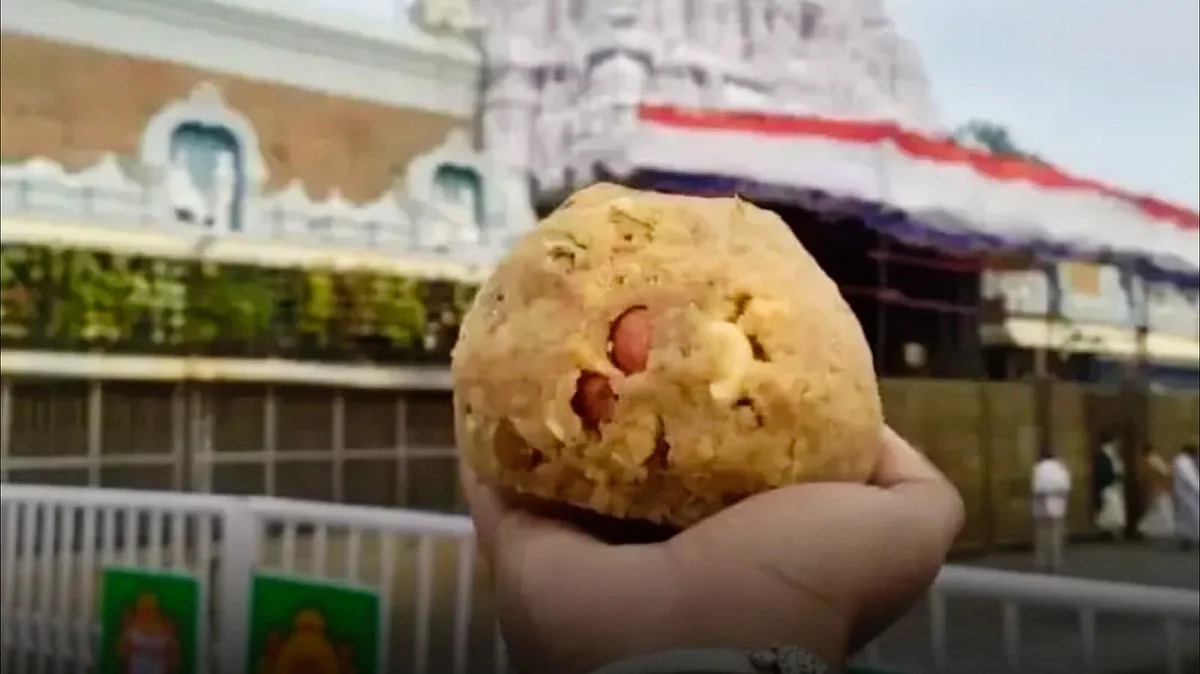 திருப்பதி லட்டு நெய் கலப்படத்தில் அதிர்ச்சித் தகவல்: 6,80,000 கிலோ போலி நெய் - ரூ.250 கோடி முறைகேடு!